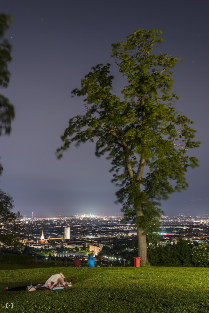 vienna skyline 2014_georgeye-2